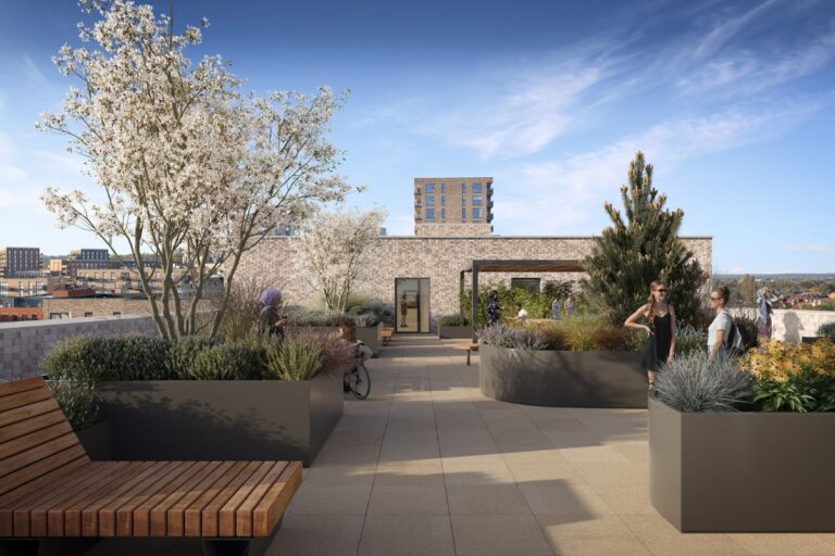 Landscaped roof terrace at Sheepcote Road with planting and seating