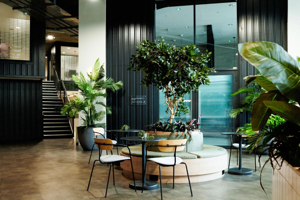 Residents lounge at Pioneer Point Ilford with seating and indoor plants