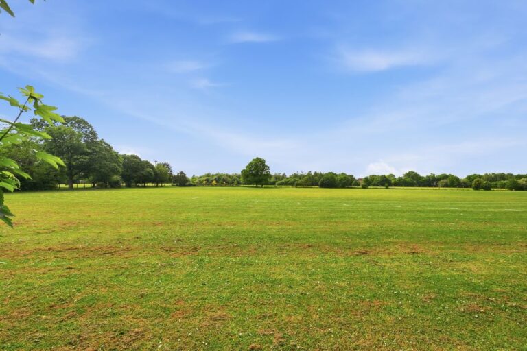 Open green space at Lampton Park